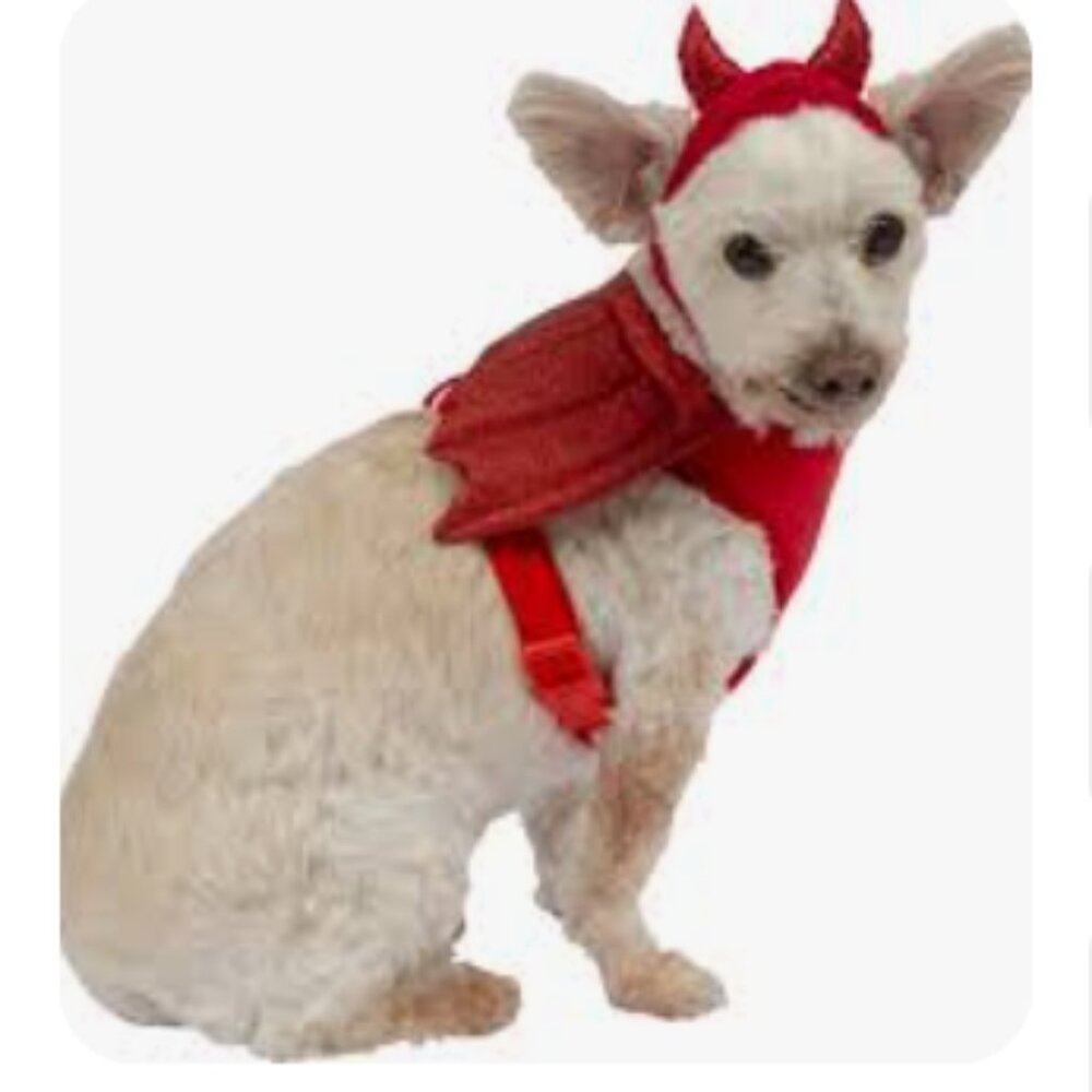 NWT- Red Devil Dog Costume Size M